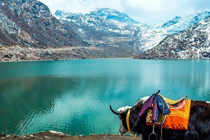 Most Famous Honeymoon places to visit in Sikkim – Tsomgo
